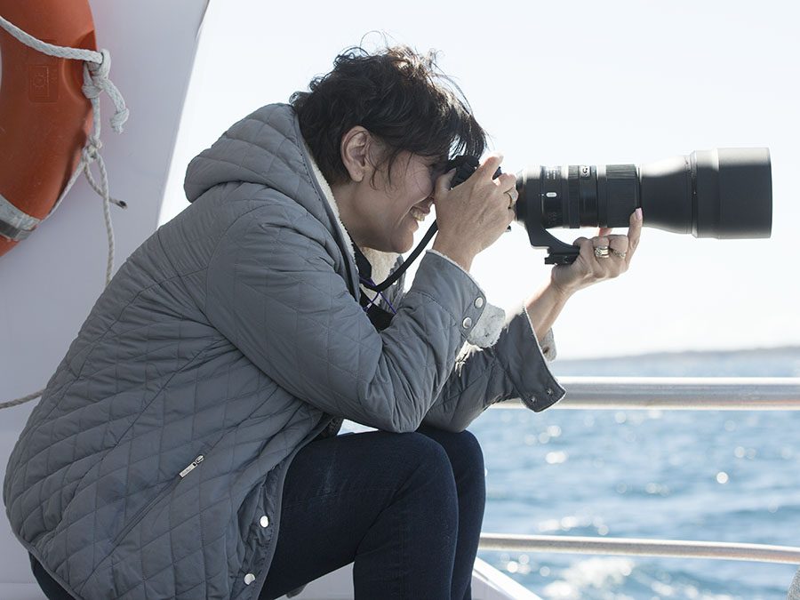 Discover Photography | Photographing the whales