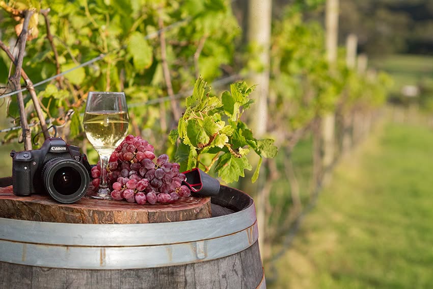 Discover Photography | In the vineyards